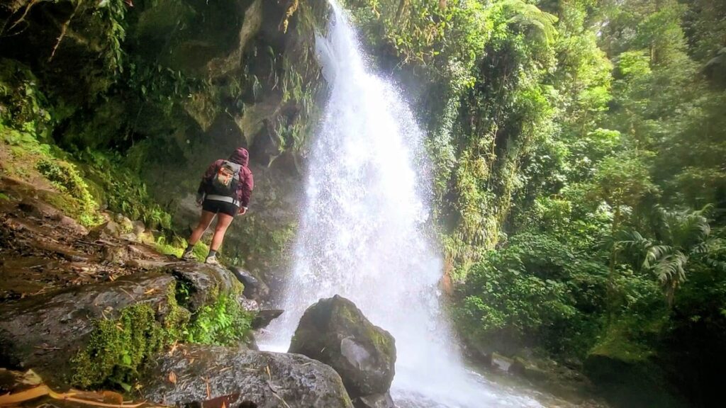 justina fees tres las cascades panama